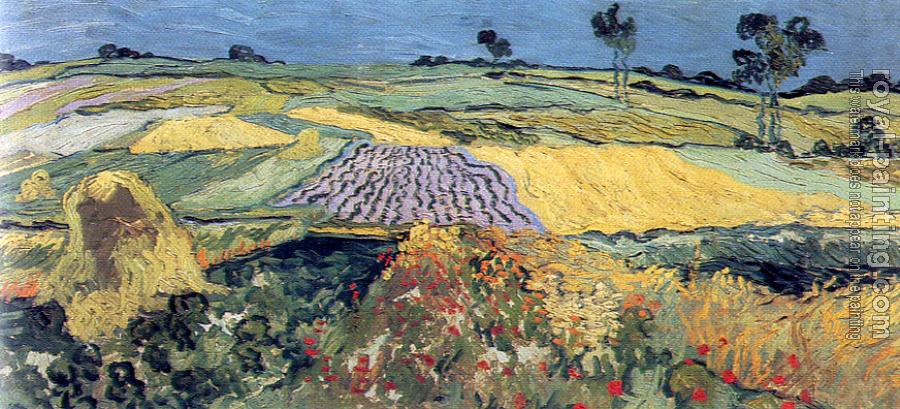 Vincent Van Gogh : Wheat Fields